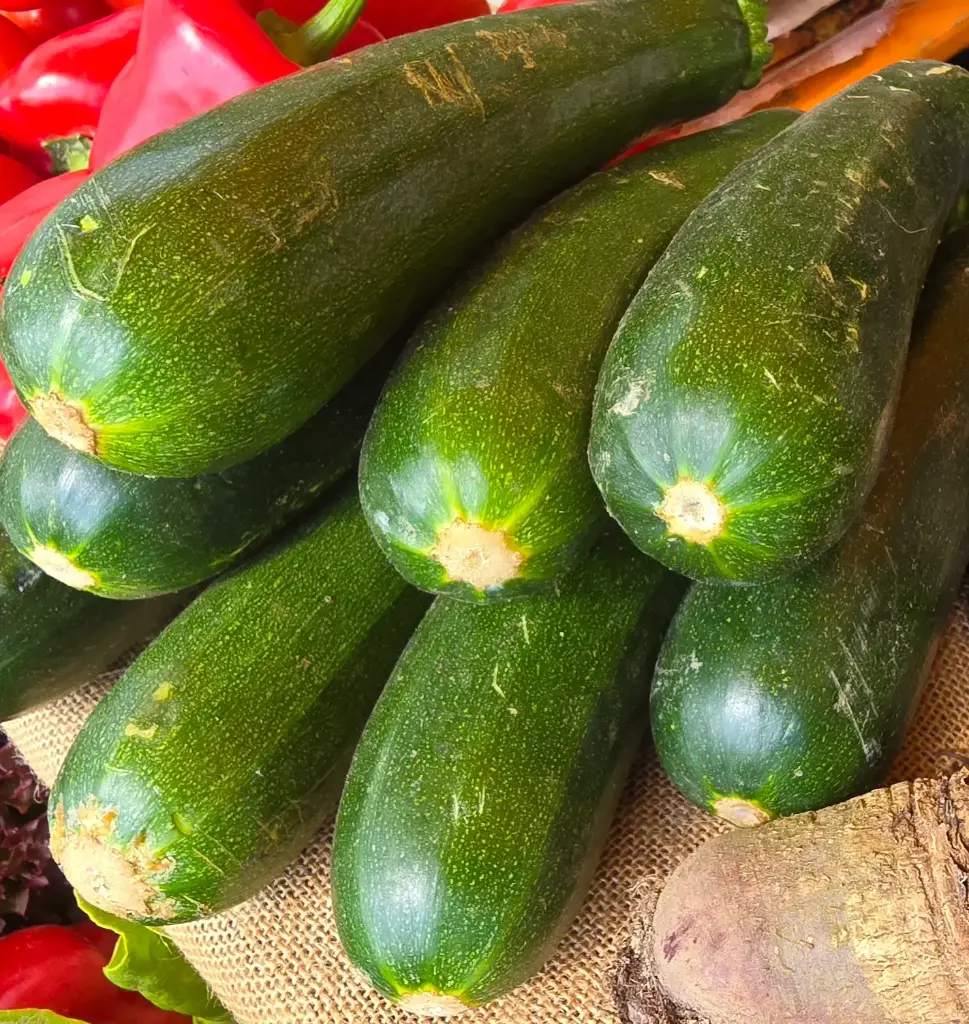 Calabacin